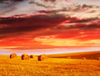 red sky over hay bales