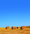 rolled hay bales