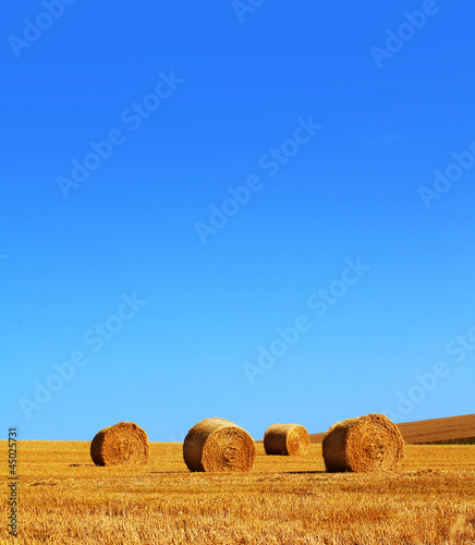 Photo: rolled hay bales rolled hay bales