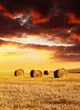 sunset over hay bales