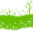 Vektor Gräser Blumenwiese