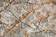 gray-orange-stone