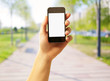 Hand Holding Smart Phone
