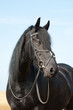 Friese
