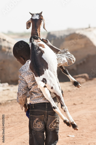 Photo: Boy carrying a goat on his back on the road, Timbuktu, Mali. Boy carrying a goat on his back on the road, Timbuktu, Mali.