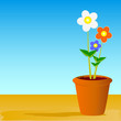 Vector: pot flowers vector illustration pot flowers vector illustration