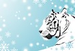 Vector: Tiger Tiger