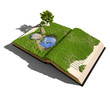 open book