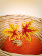 A Pumpkin With Colorful Autumn...