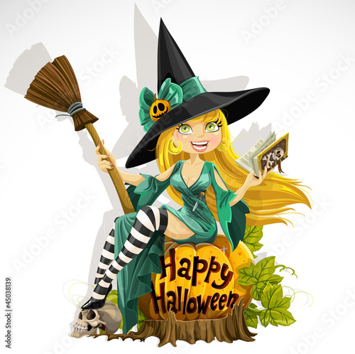 Vector: Beautiful young witch with a book and broom sitting on a pumpkin Beautiful young witch with a book and broom sitting on a pumpkin