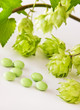 Hopfen - Medizin