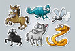 Vector: Cartoon animals Cartoon animals