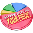 How Big is Your Piece Pie Chart Market Chare