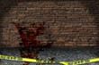 Crime Scene Investigation