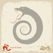 Snake with Chinese Painting for Year of Snake