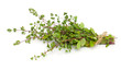bunch of blooming marjoram