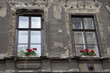 old building windows with flowers