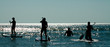 Stand up paddle group