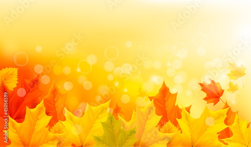 Vector: Autumn background with yellow leaves and hand. Autumn background with yellow leaves and hand.