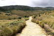 Photo: Mist forest and savanna, Horton Plains, Sri Lanka Mist forest and savanna, Horton Plains, Sri Lanka