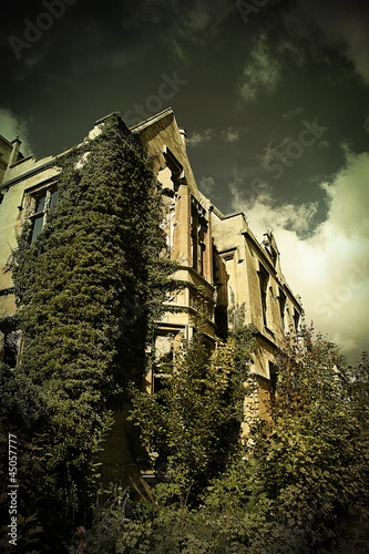 Photo: overgrown building overgrown building