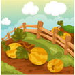 Landscape natural farm