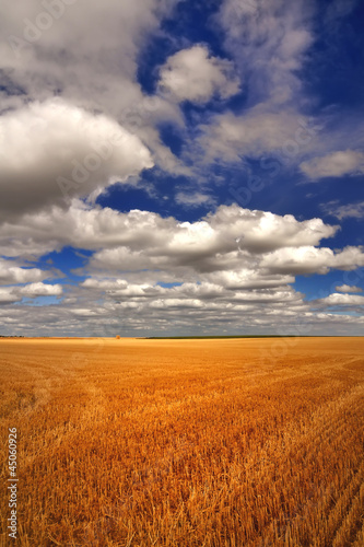 Photo: la campagne la campagne