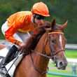 Photo: Hippsime et jockey Hippsime et jockey