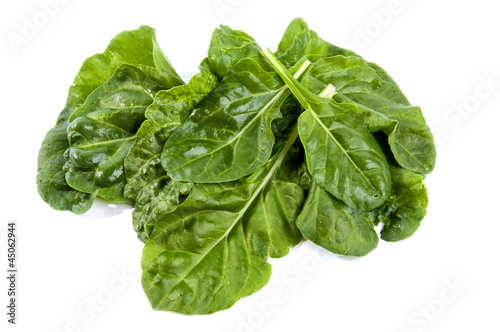Photo: fresh chard on a white background fresh chard on a white background