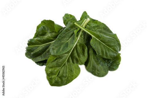 Photo: fresh chard on a white background fresh chard on a white background