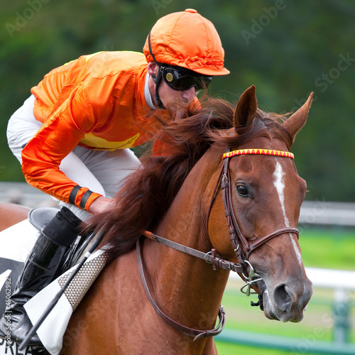 Photo: Hippsime et jockey Hippsime et jockey