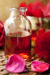 Aromatherapy set. Essential oil and red flowers.