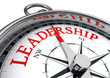 leadership conceptual compass
