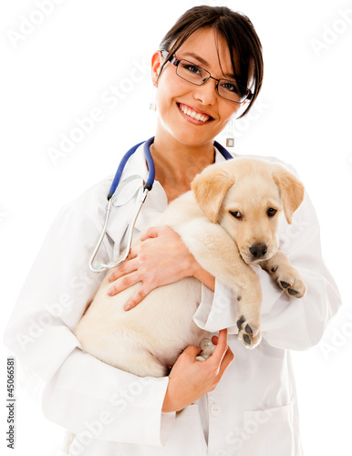Photo: Vet holding a little puppy Vet holding a little puppy