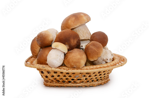 Photo: Boletus edulis isolated on white background Boletus edulis isolated on white background