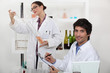 Oenologists analysing different wines