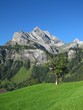 High Mountain Named Ortstock