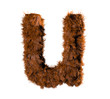 the u