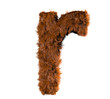 the r
