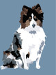 vector of a beautiful sheepdog - eps 10, transparencies