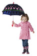 Studio portrait of girl (2-3 years) holding umbrella