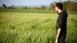 Video: A boy watching in a field of wheat A boy watching in a field of wheat