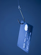 Credit card on fishing hook