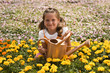 "USA, Utah, Salem, portrait of girl (8-9) in flower field"