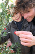 Little boy and father picking berries of a plant
