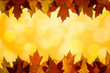 Fall Color Maple Leaves Sunlight Background Border
