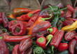 Photo: various hot peppers various hot peppers