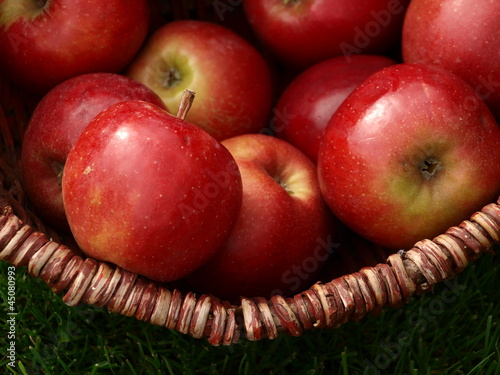 Photo: Apfel 10 Apfel 10