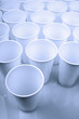 disposable dishes