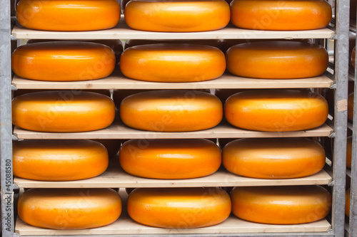 Photo: Dutch cheese Dutch cheese